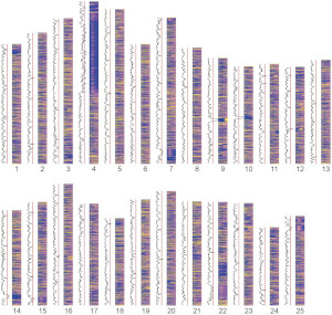 Chromosal expression heatmaps